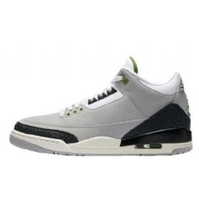Nike Air Jordan 3 Chlorophyll Tinker Sko Herre Grå