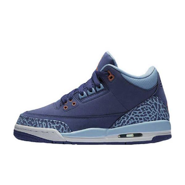 Nike Air Jordan 3 Retro Gg Dust Sko Herre Lilla