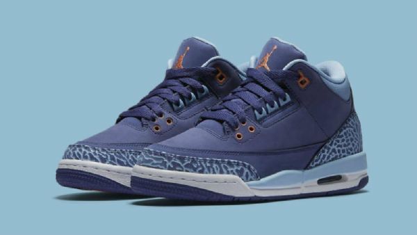 Nike Air Jordan 3 Retro Gg Dust Sko Herre Lilla