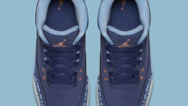 Nike Air Jordan 3 Retro Gg Dust Sko Herre Lilla