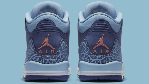 Nike Air Jordan 3 Retro Gg Dust Sko Herre Lilla