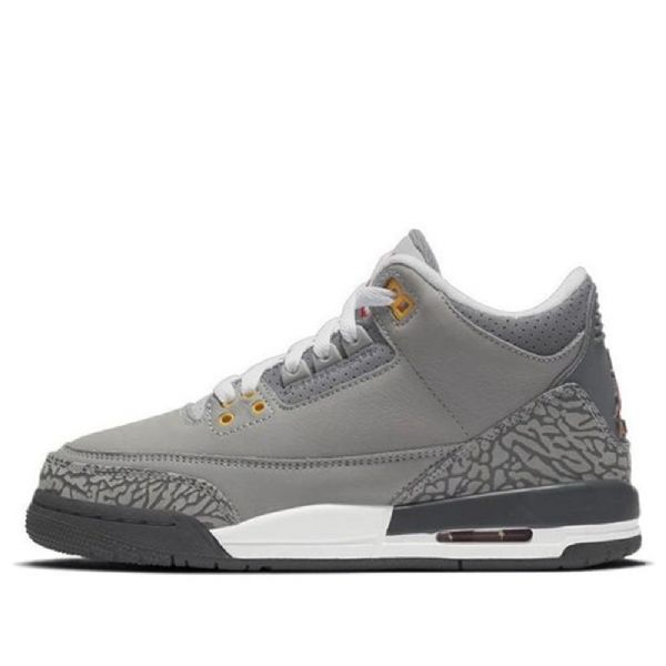 Nike Air Jordan 3 Retro Gs Basketsko Herre Grå
