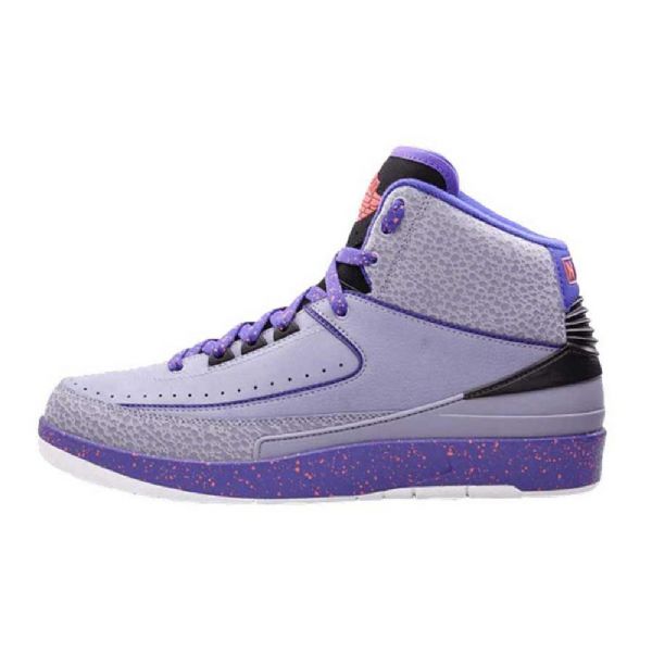 Nike Air Jordan 2 Iron Sko Herre Lilla