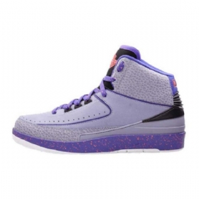 Nike Air Jordan 2 Iron Sko Herre Lilla