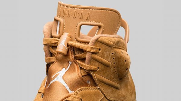 Nike Air Jordan 6 Wheaten Harvest Sko Herre Brune