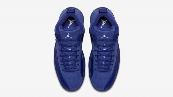 Nike Air Jordan 12 Deep Premium Sko Herre Blå