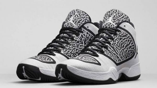 Nike Air Jordan Xx9 Sko Herre Hvite